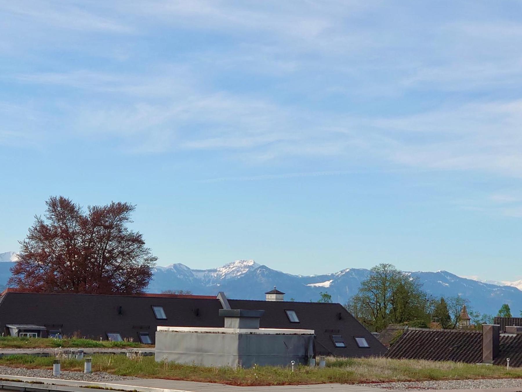Ferienwohnung Riva - Wohlfuehloase In Ruhiger Lage Lindau  Esterno foto